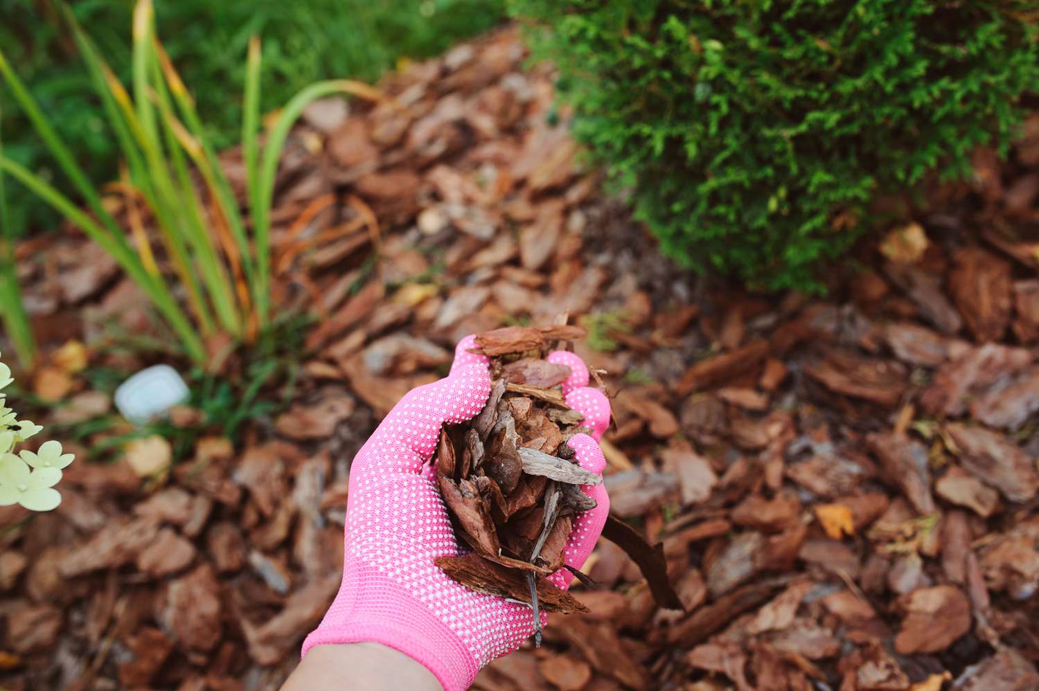 How to Choose the Right Mulch for Your Garden | Martha Stewart