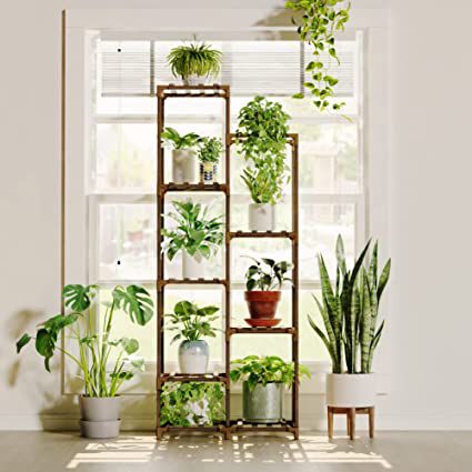 10 Best Plant Stands for Stylishly Showing Off Your Indoor Garden