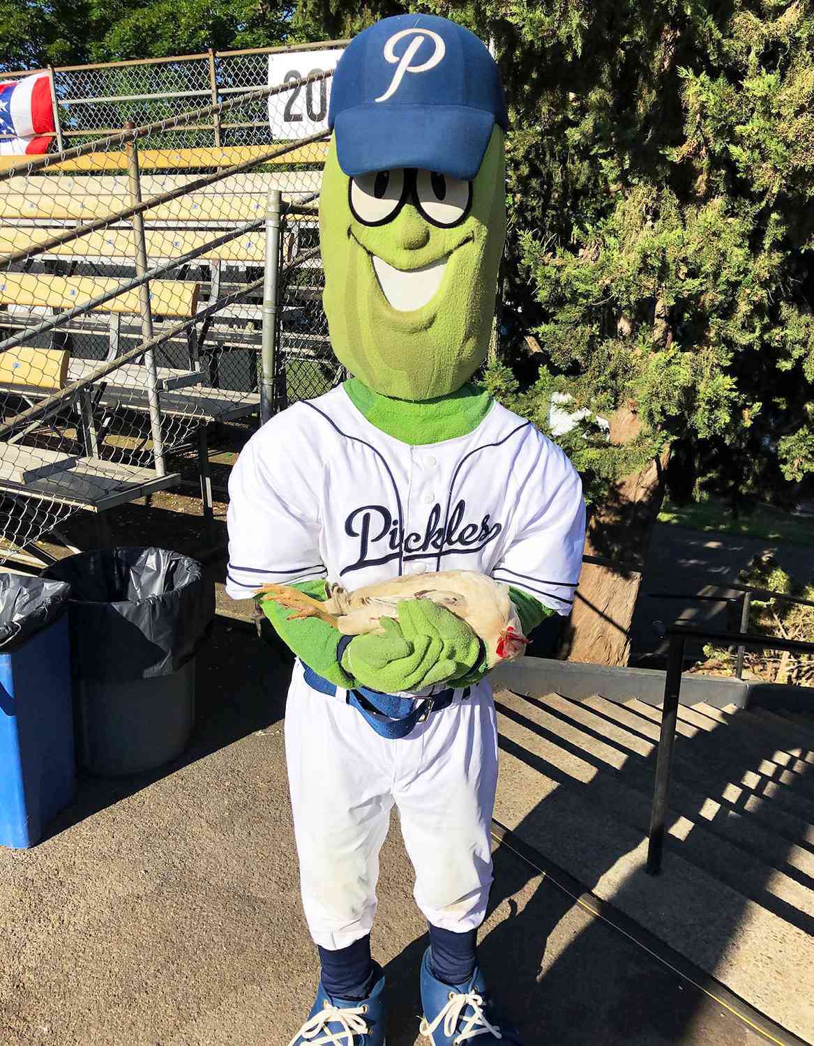 Time de beisebol de Portland em apuros depois que mascote publica fotos que os fãs não acham que é Kosher