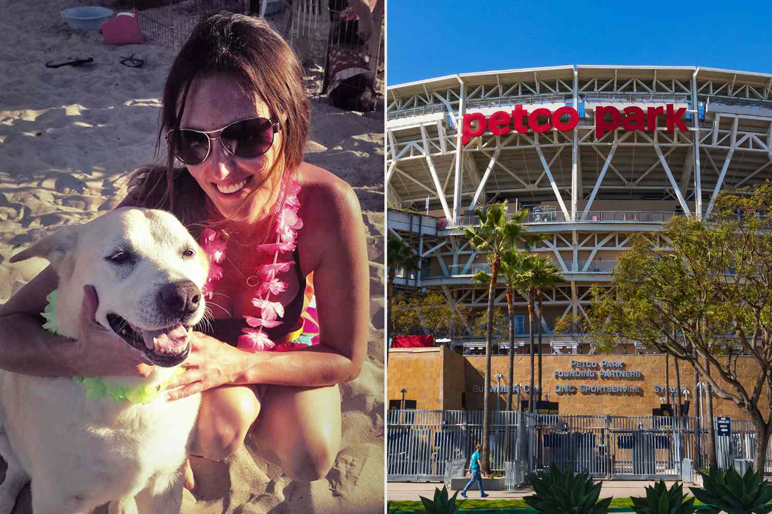 Police Rule That Woman and Son's Fatal Plunge at San Diego Stadium Was a Murder-Suicide