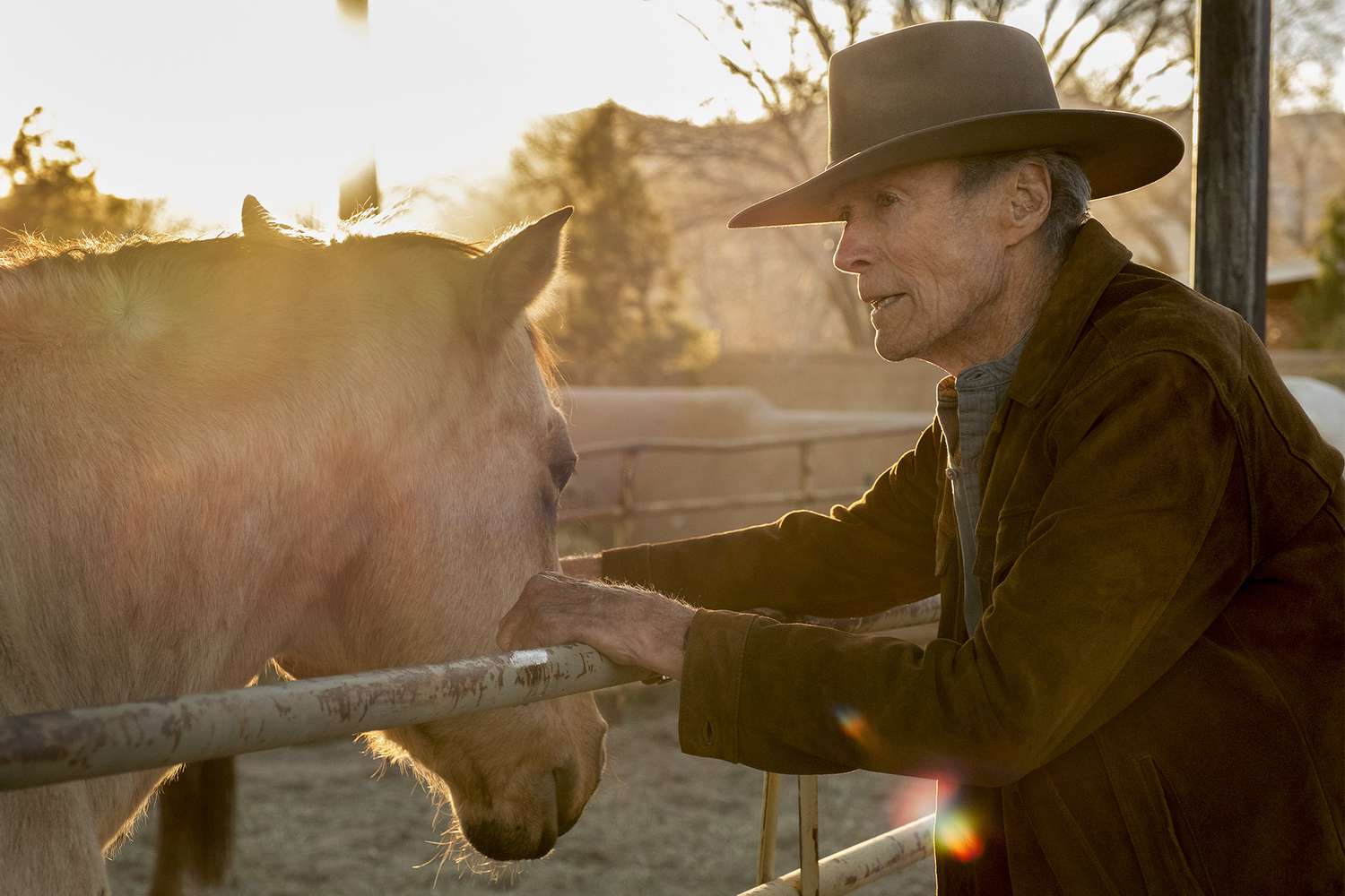 Clint Eastwood plays the last cowboy in blunt, elegiac Western 'Cry Macho' - EW.com