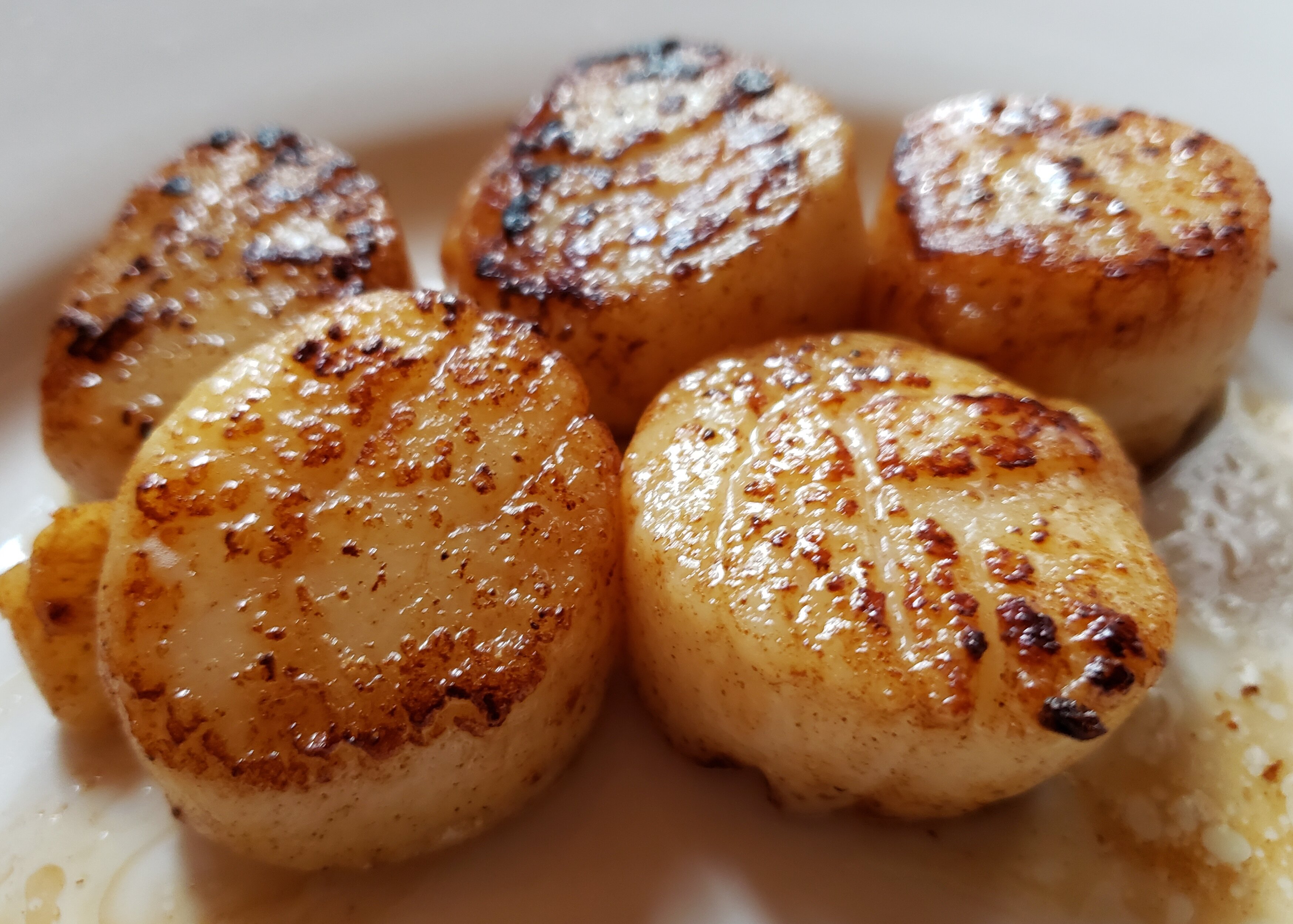 What Do Seared Scallops Taste Like