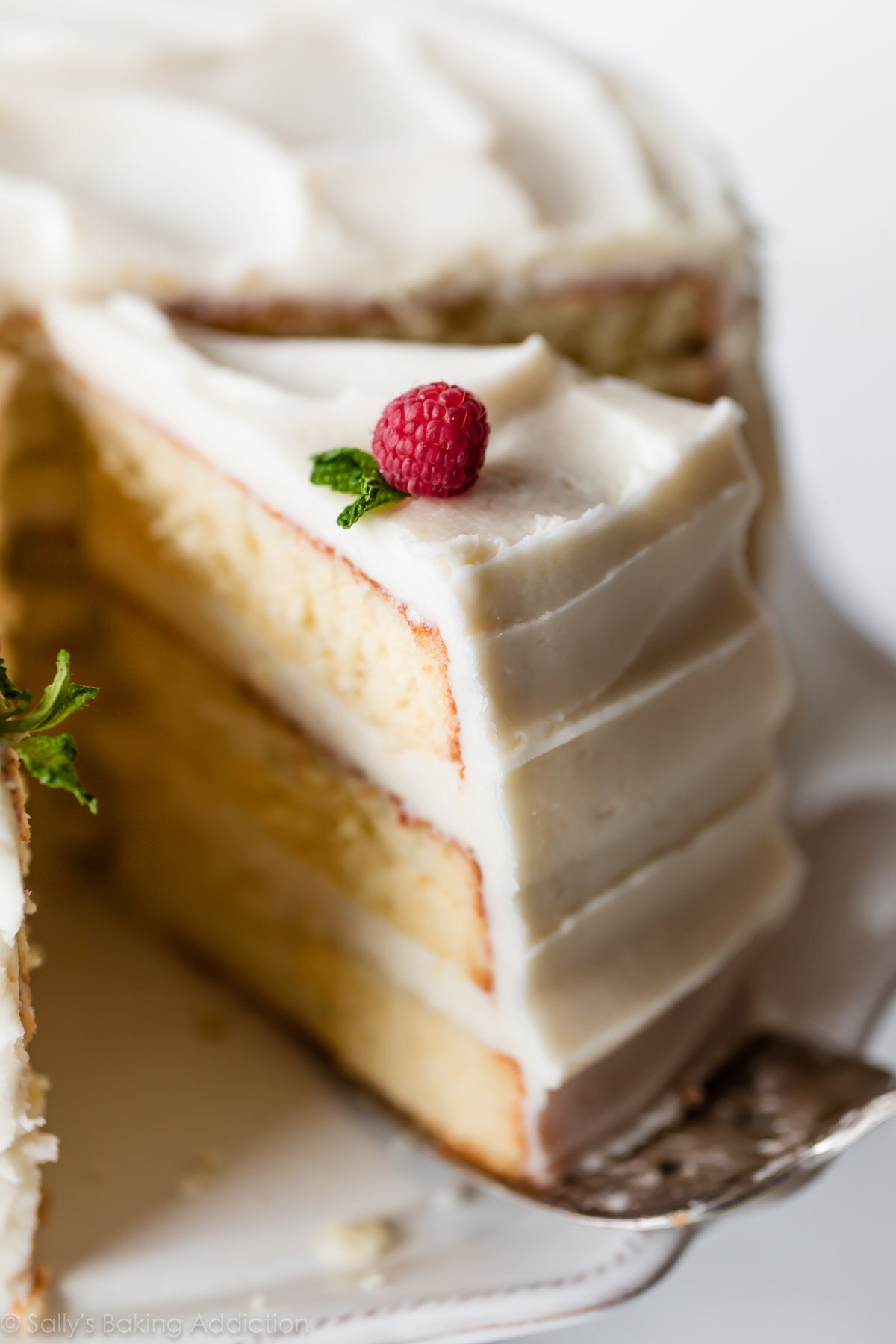 Super Moist White Cake Recipe From Scratch / Best White Cake Recipe ...