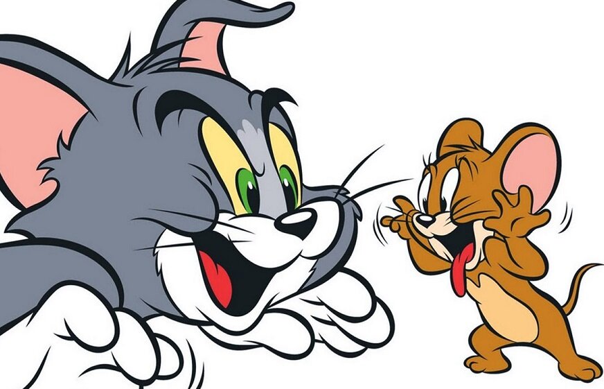 This Cat And Rat Are Going Viral For Behaving Like Cartoon Characters Hellogiggles