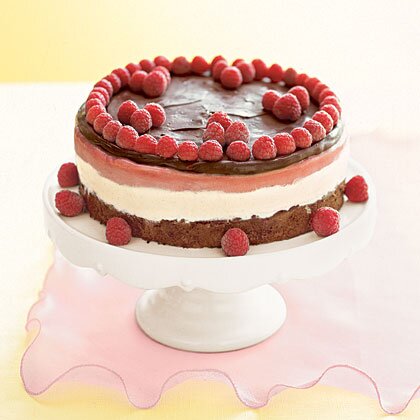 Frozen Chocolate Raspberry Torte Recipe Myrecipes