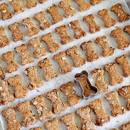 How To Make Pet Treats Myrecipes