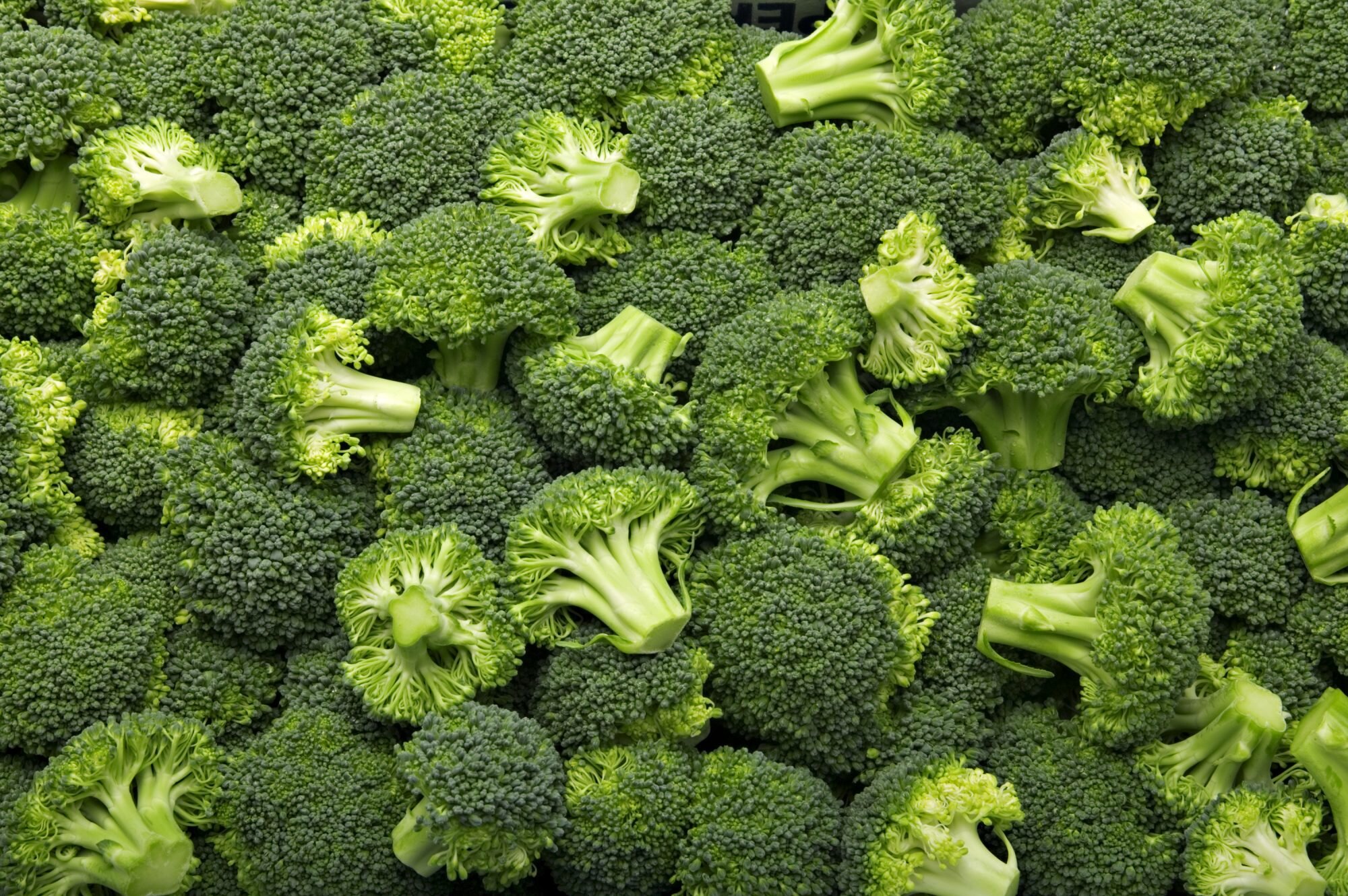 How To Store Broccoli So It Stays Fresh For Longer Myrecipes