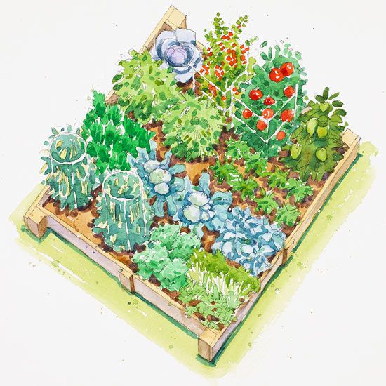 Plans For Vegetable Gardens Better Homes Gardens