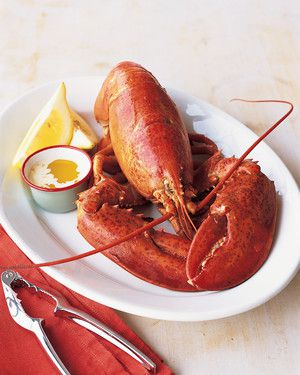 Boiled or Steamed Lobsters 
