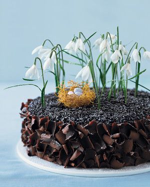 Chocolate Cake with Crepe Paper Flowers and a Phyllo Nest 