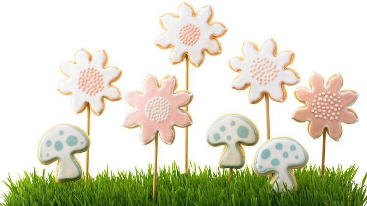 Flower Sugar Cookies 