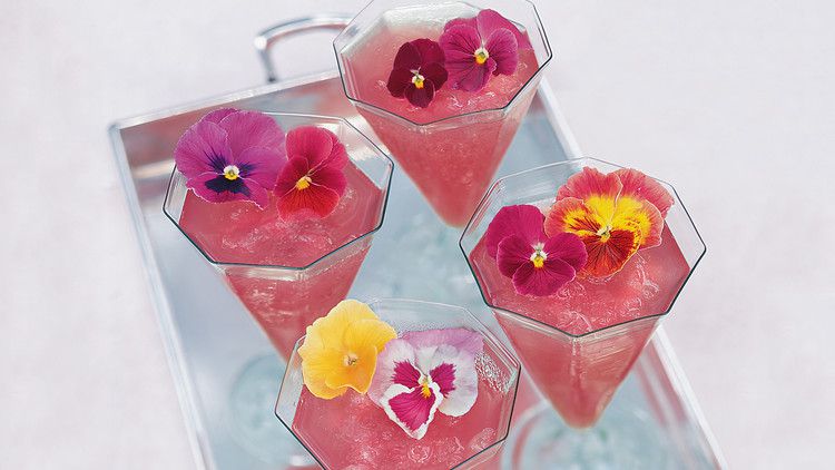 watermelon punch pansy