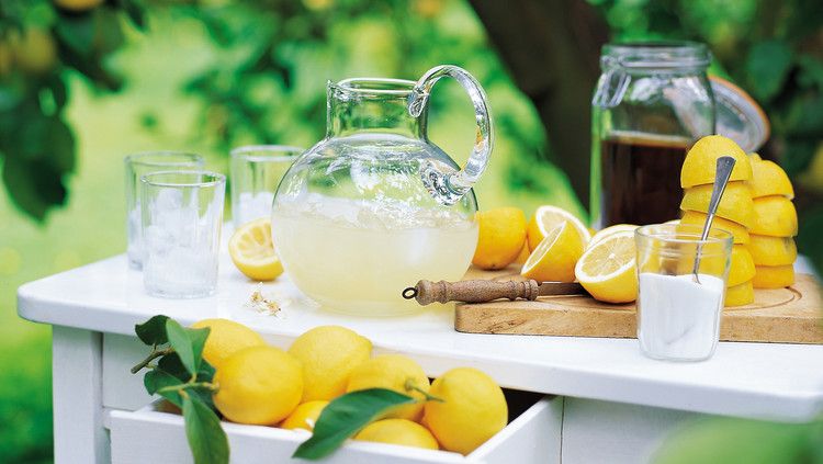 Meyer-Verbena Lemonade 