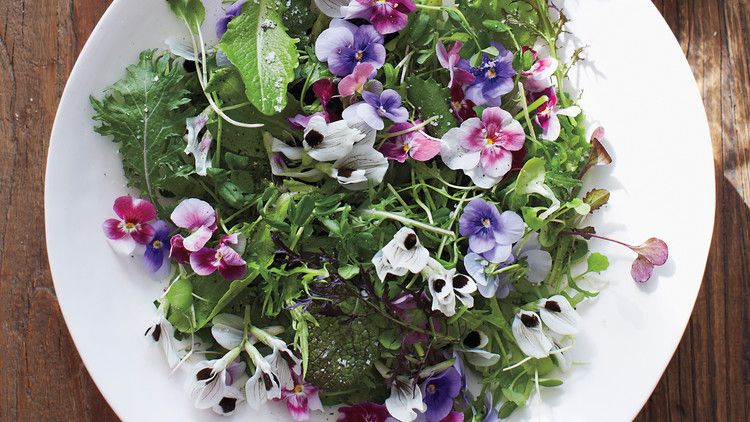 Green Salad with Edible Flowers 