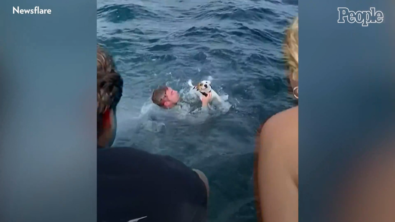 Florida Boaters Rescue Dog Struggling Alone in the Open Ocean: Video |  PEOPLE.com