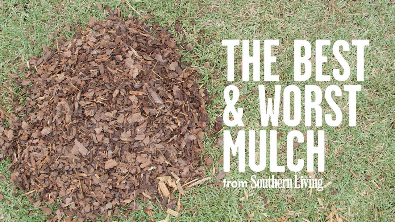 The Best Mulch for Your Garden | Southern Living