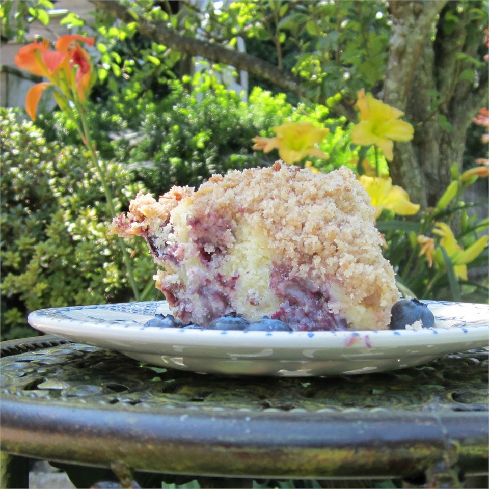 Toasted Coconut-Topped Blueberry Cake 