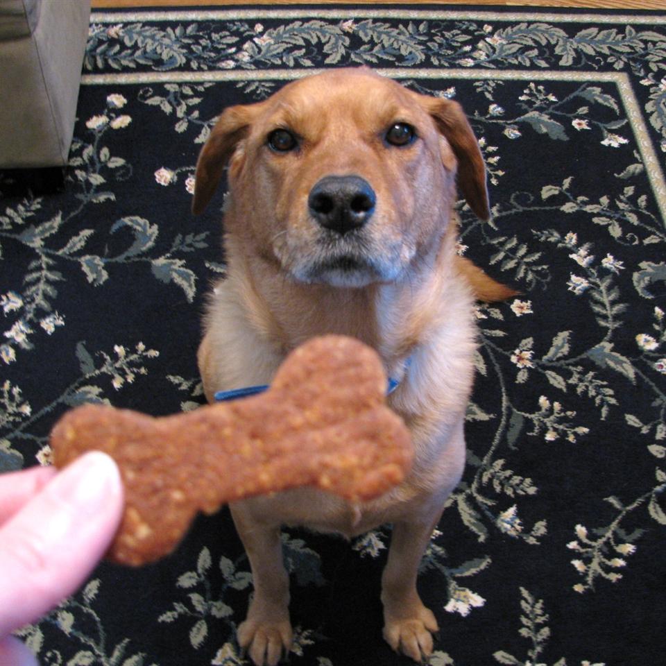 Doggie Biscuits I Sugarplum
