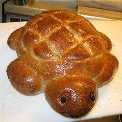 Turtle Bread