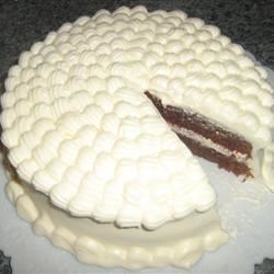 Chocolate Buttermilk Cake babycakes