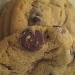 Absolutely the Best Chocolate Chip Cookies 
