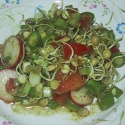 Sprouted Lentil Salad