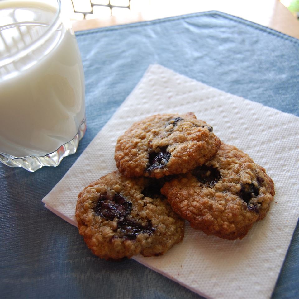Blueberry Oat Cookies 