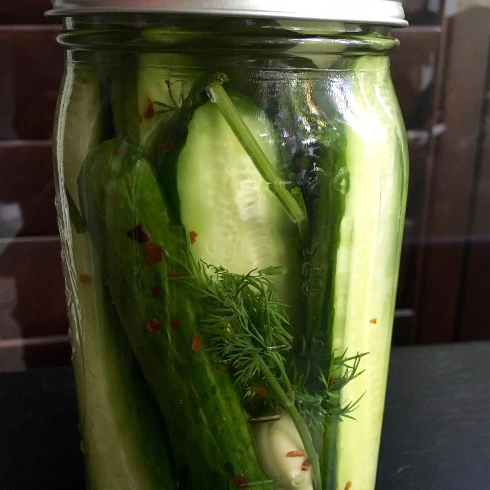 Spicy Refrigerator Dill Pickles 