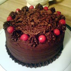 Black Forest Chocolate Cake ginniebug79