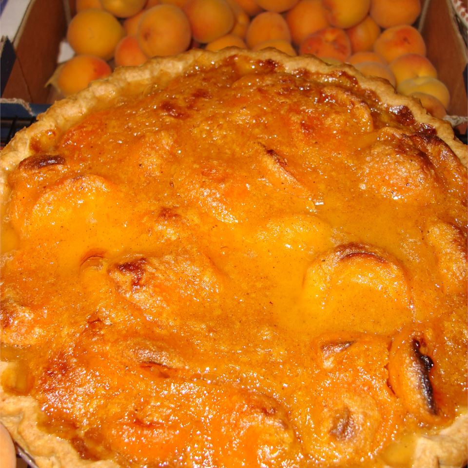 Fresh Apricot Pie