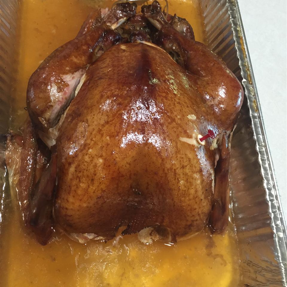 Out of This World Turkey Brine 