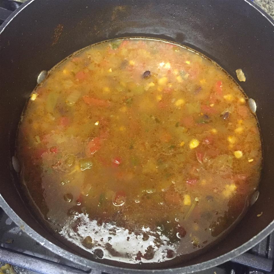 Vegetarian Tortilla Soup 