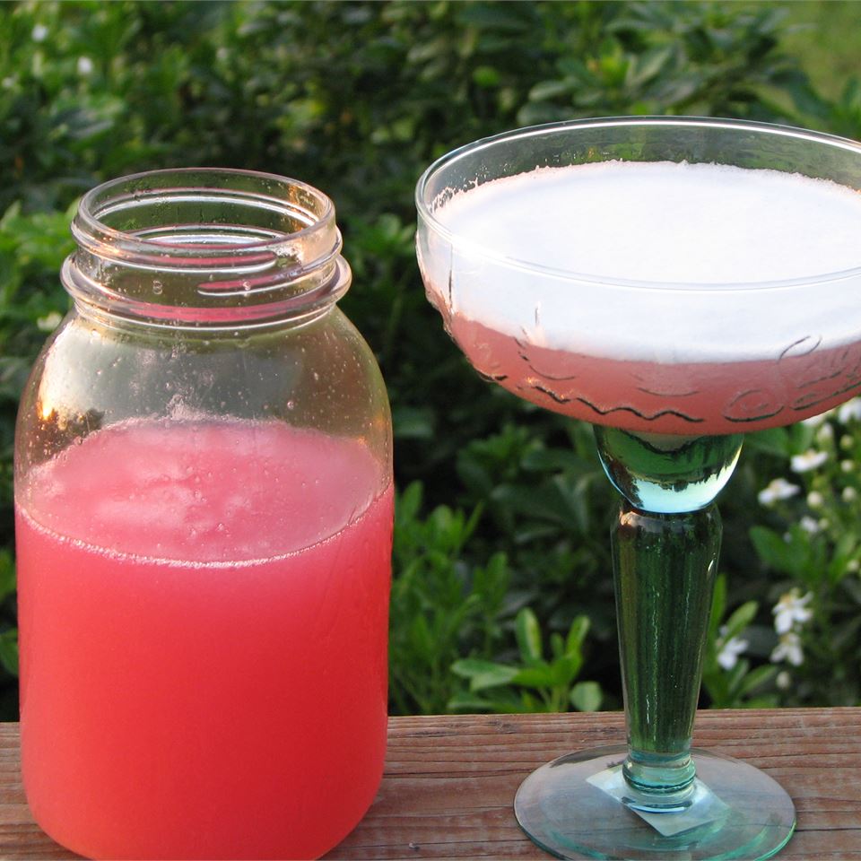 <p>Rhubarb adds a bit of a pucker to classic margaritas. "The fresher the rhubarb the better but you can use frozen rhubarb also," says reviewer Anonymous. </p>
                          