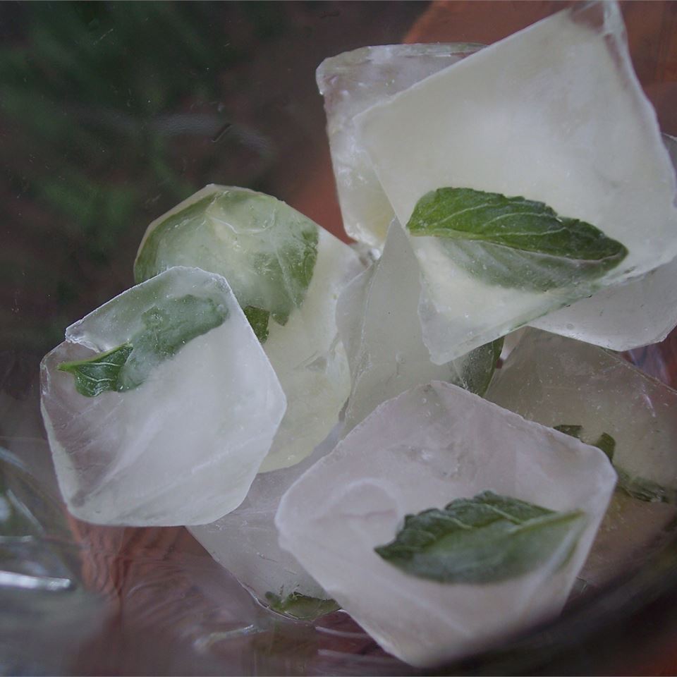 Mint Ice Cubes pomplemousse