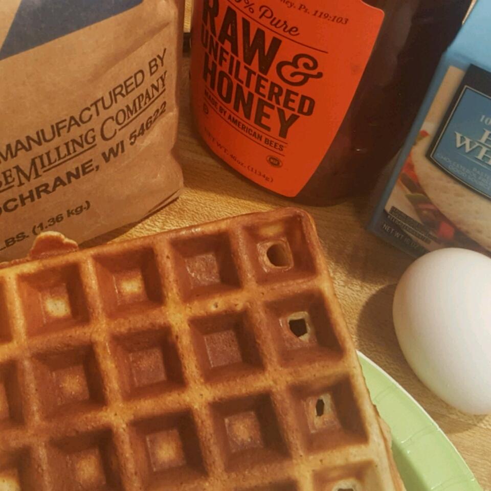 Protein Waffles 