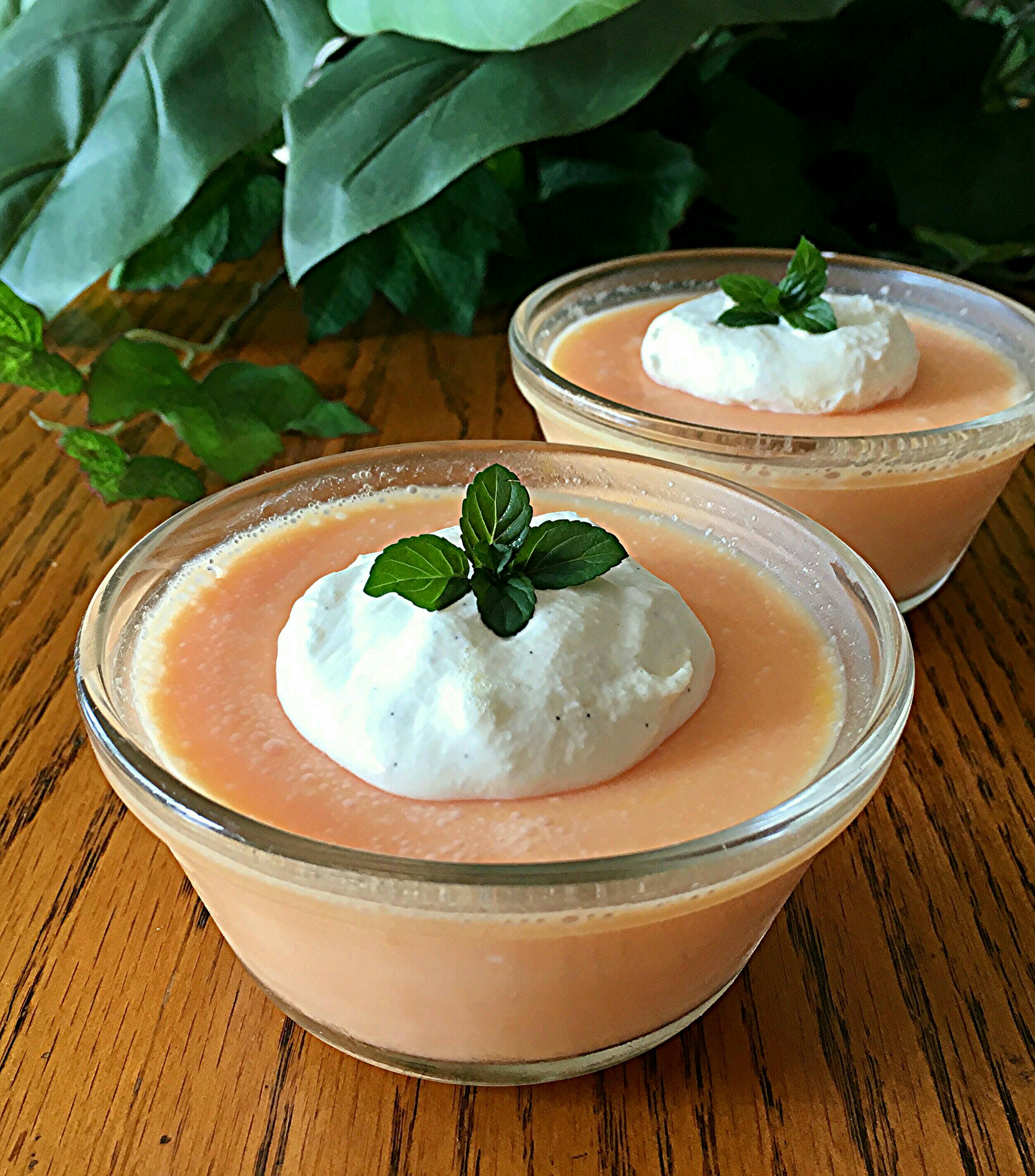 Creamy Mango Pudding 