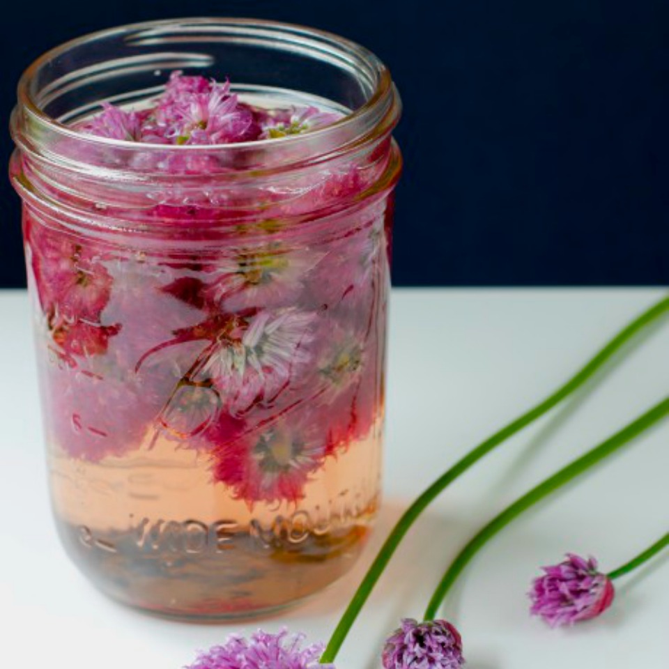 Chive Blossom Infused Vinegar foodelicious