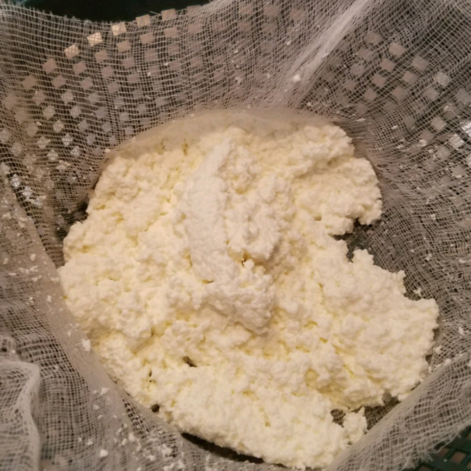 Cottage Cheese 