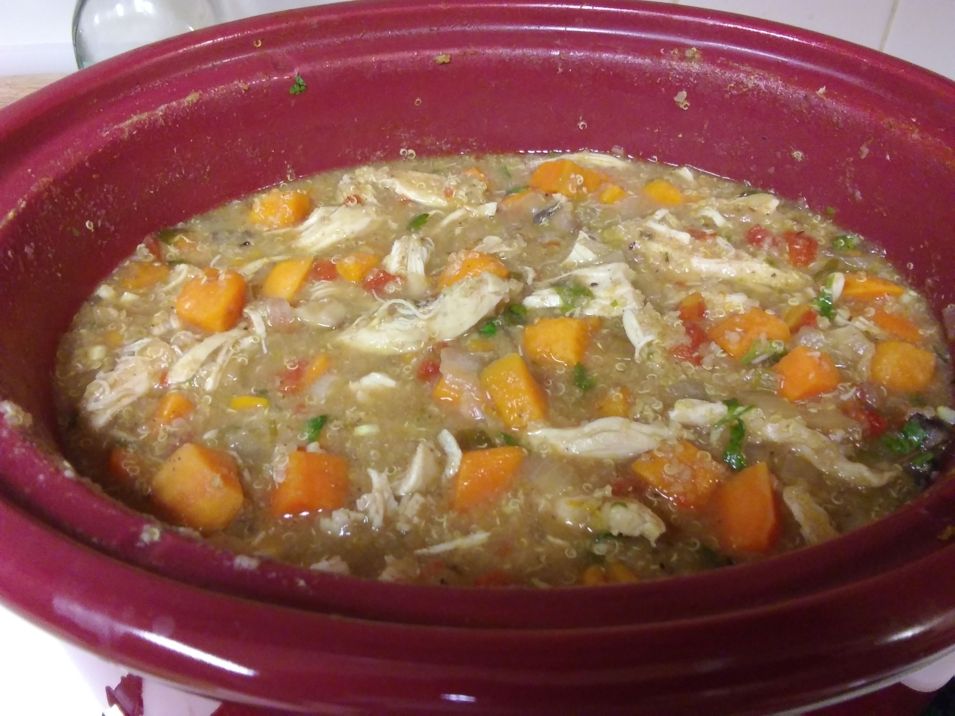 Slow Cooked Chicken Stew 