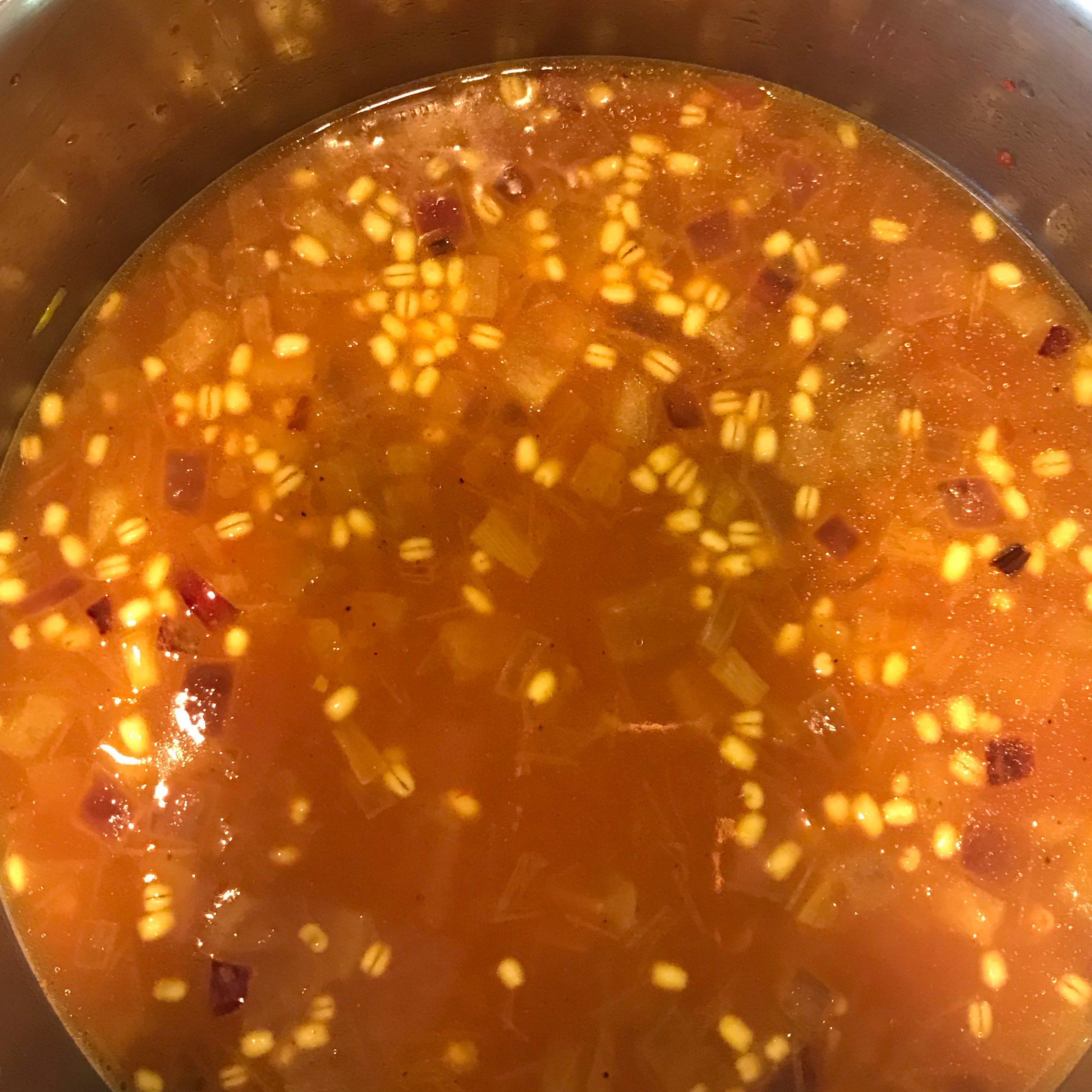 Ash-e-jow (Iranian/Persian Barley Soup) 