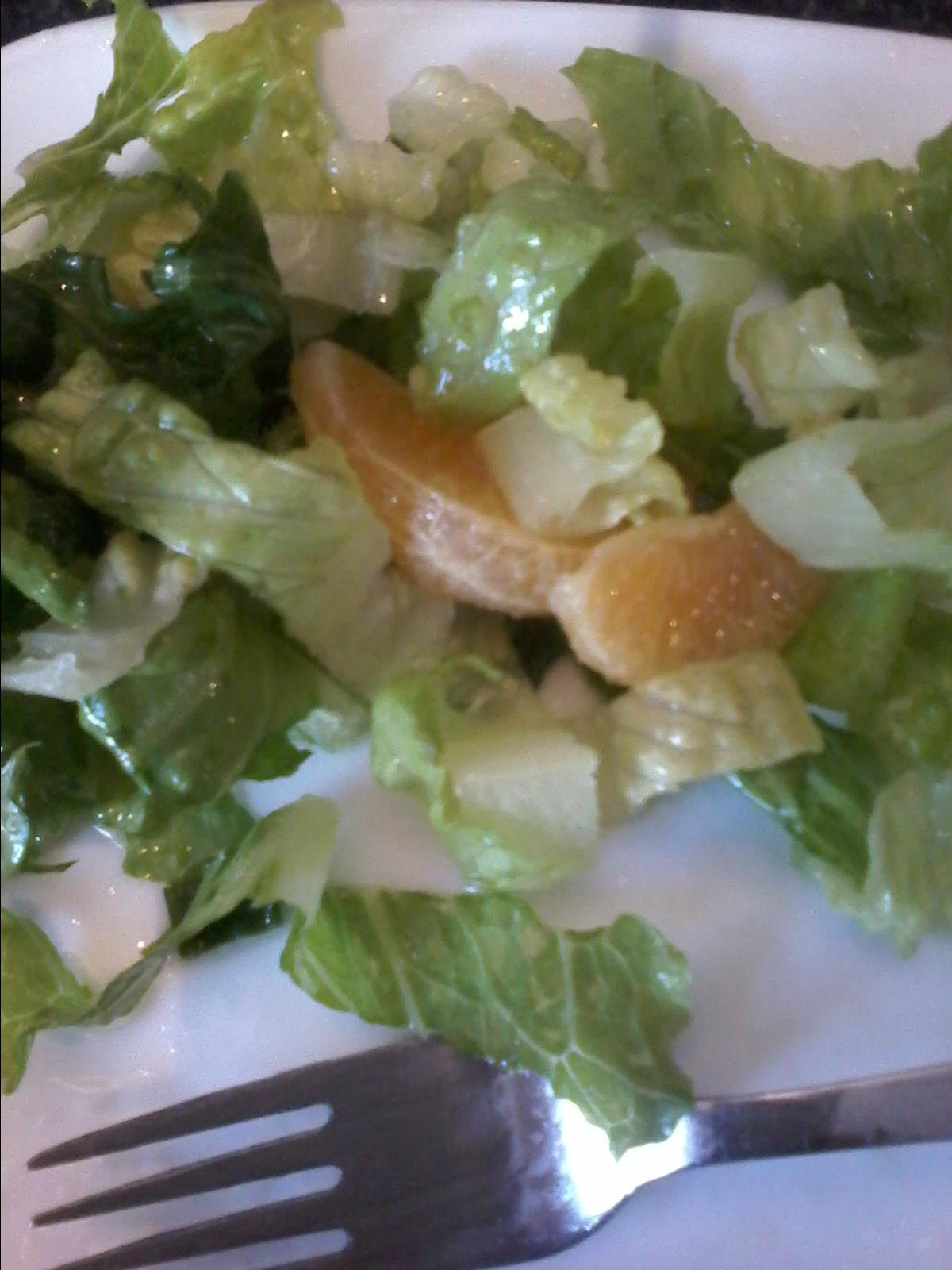 Orange Romaine Salad 