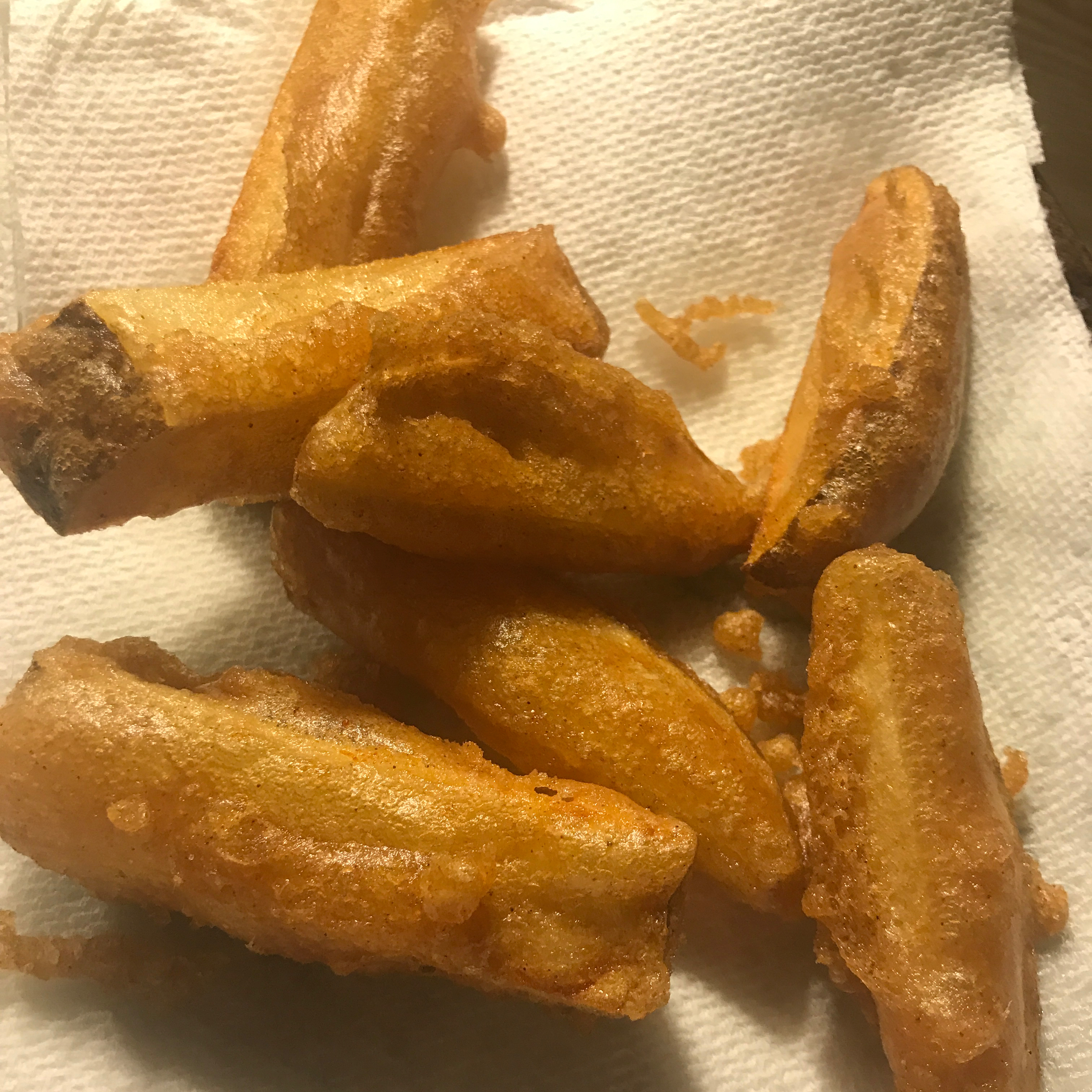 Homemade Crispy Seasoned French Fries 
