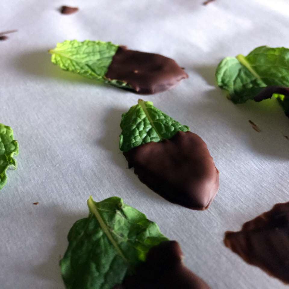 Chocolate-Covered Mint Leaves AllrecipesPhoto