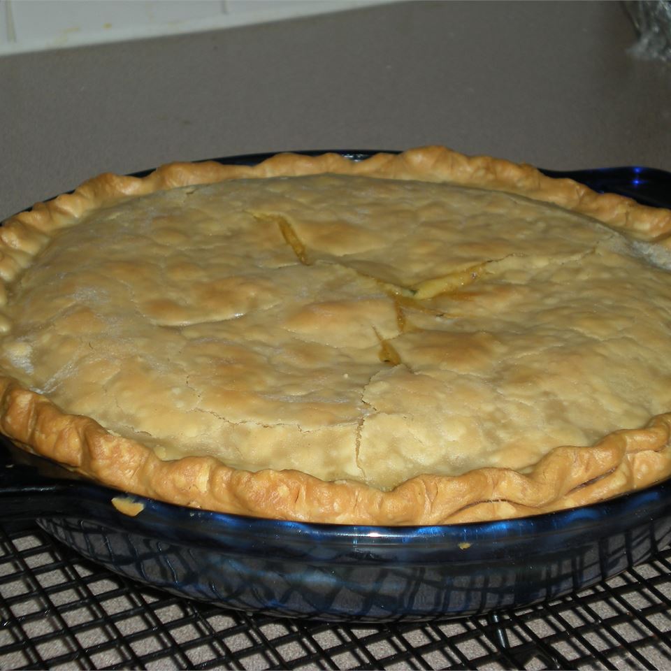 Turkey Pot Pie III 