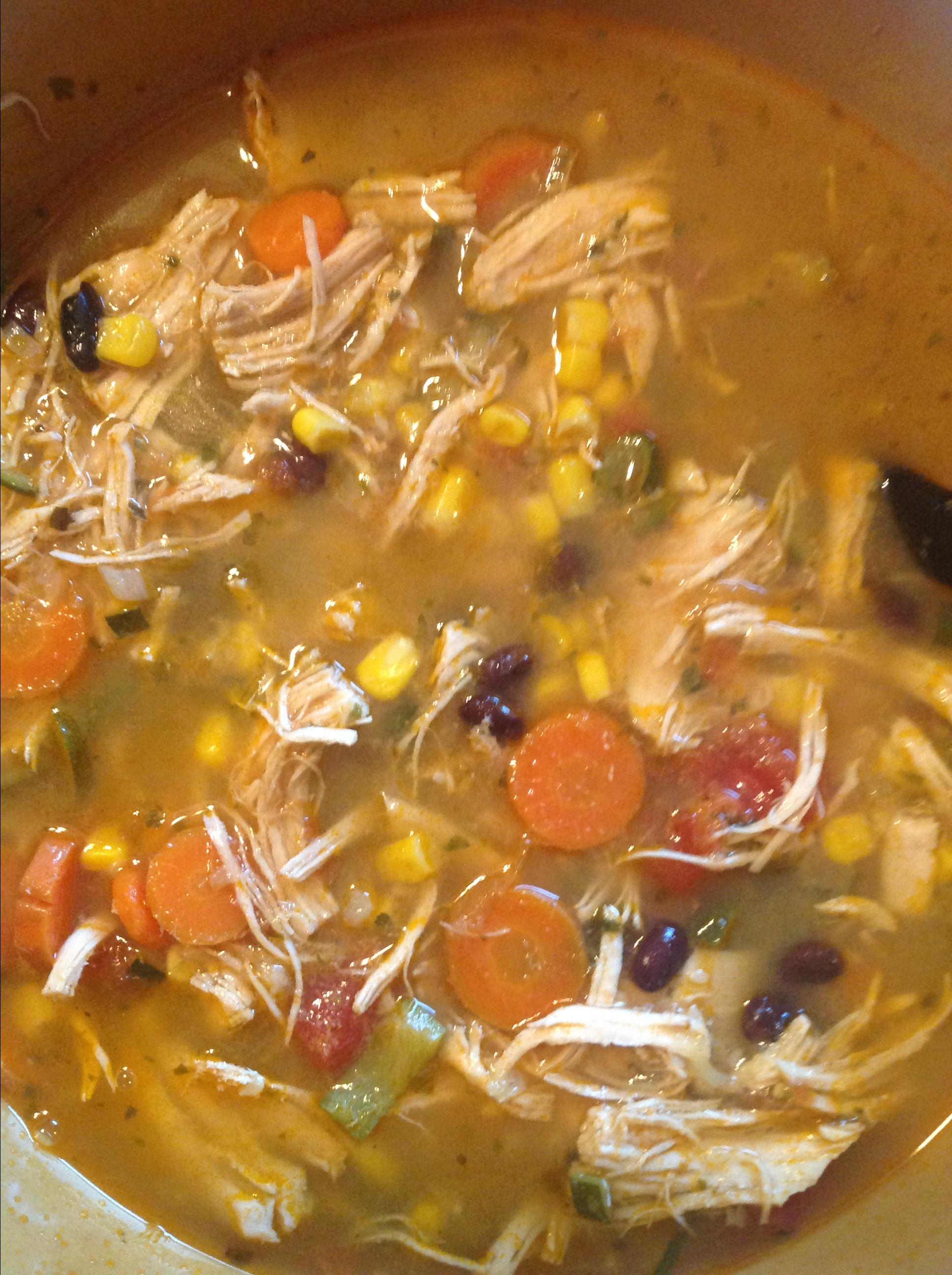 Instant Pot&reg; Chicken Tortilla Soup 