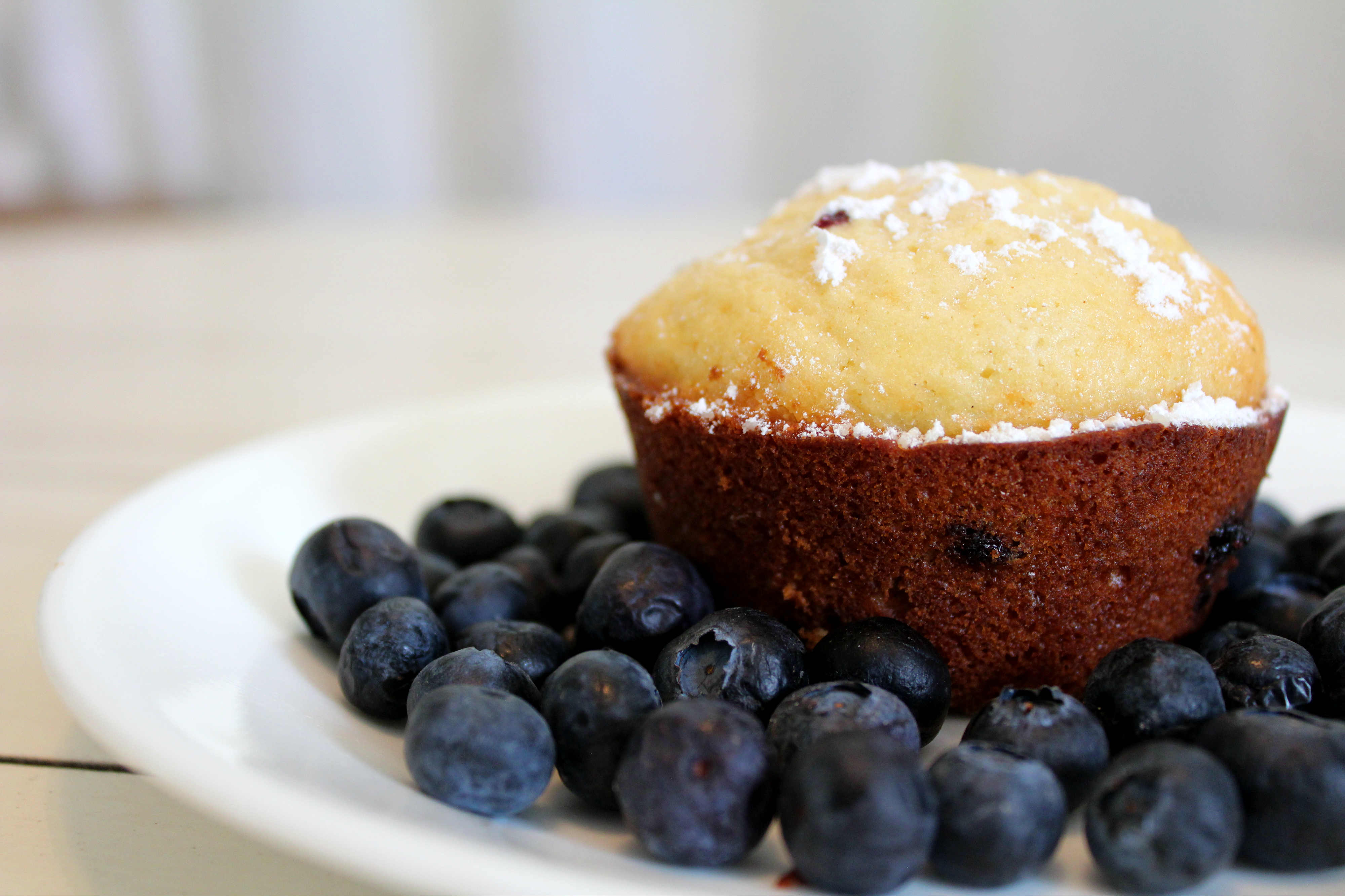 Almond Flour Blueberry Muffins (Gluten Free) 