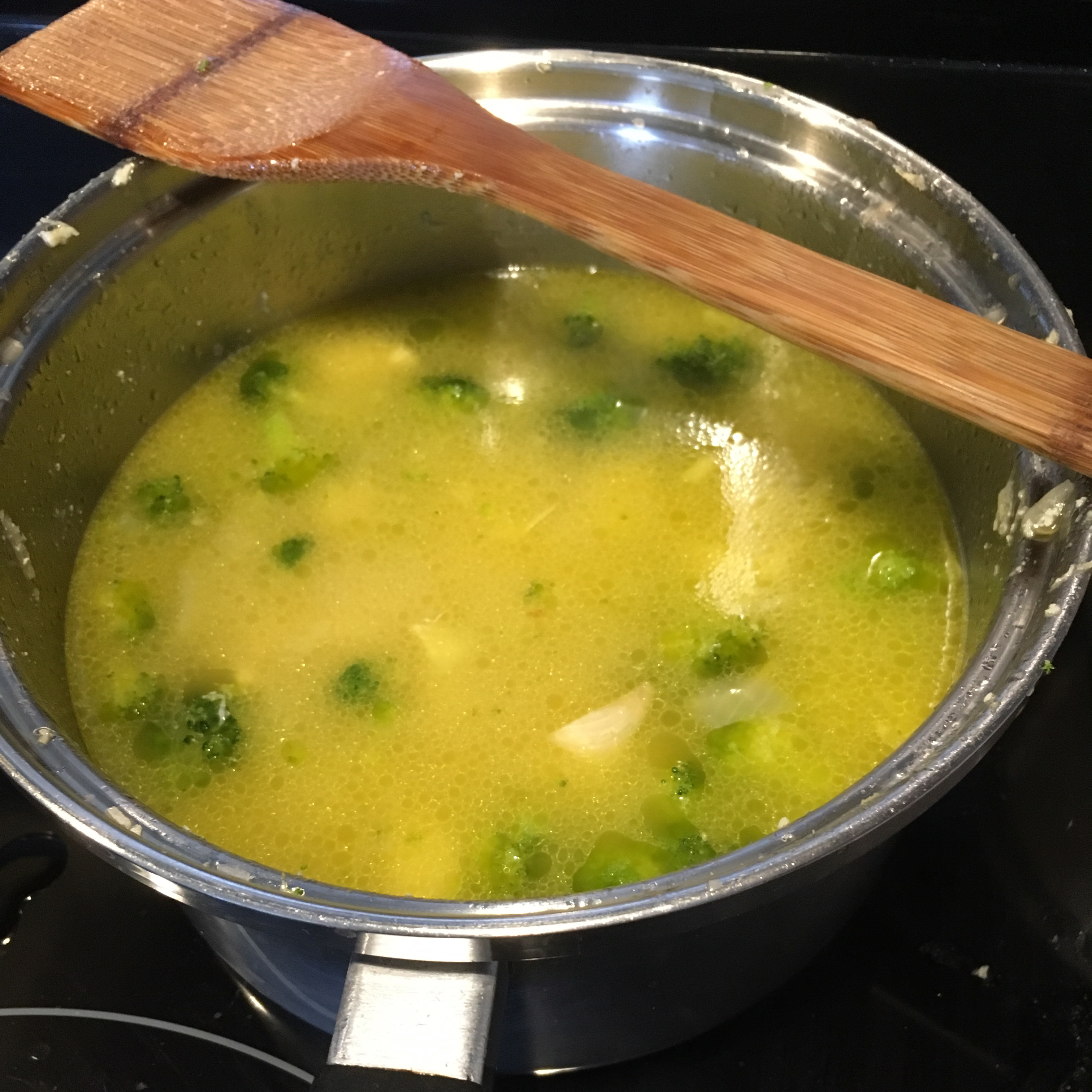 Chicken Veggie Soup II 