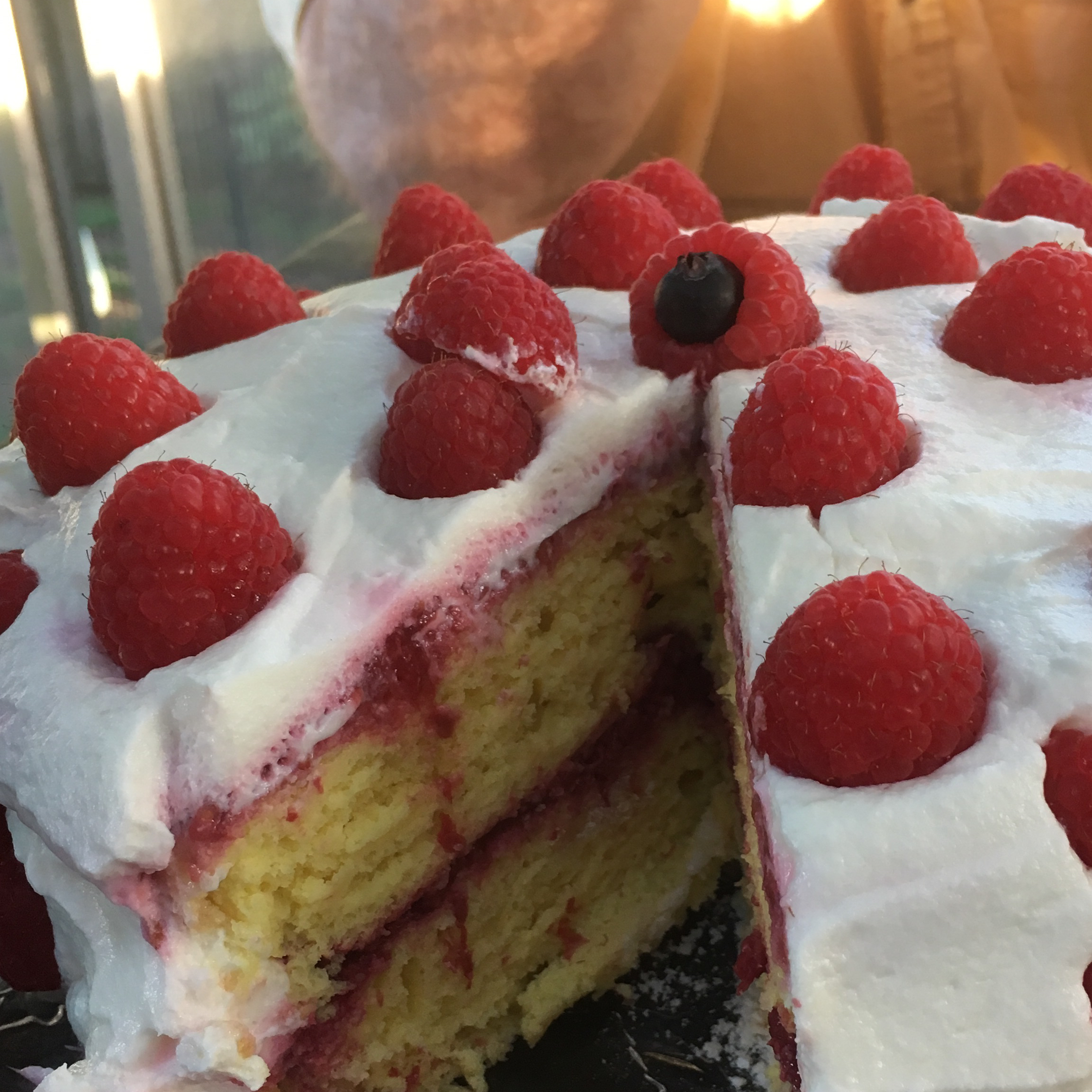 Low-Fat Lemon Raspberry Cake Alex