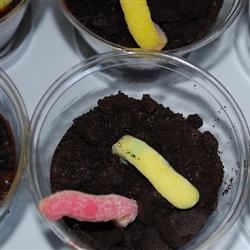 Cut to the chase with this straightforward dirty cake: there are gummy worms and crushed sandwich cookies. (There's also chocolate pudding, too.) "I made this for some pre-school kids I was watching who were learning about gardening one week. I also put it in individual clear plastic cups and layered the cookie crumbs and pudding," says Allstar Holiday Baker.
                          