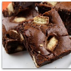 Joanie's Pesach Brownies Shelly Baker